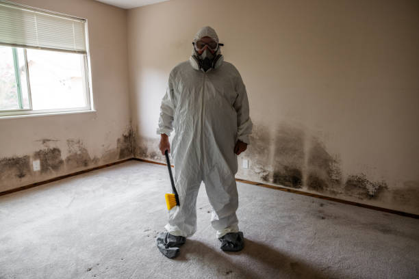 Best Certified Mold Removal  in Independence, OH